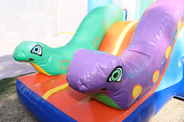 Inflable mediano en área verde para reunión familiar épica en CDMX