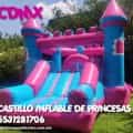 renta de inflables para fiestas infantiles en mexico